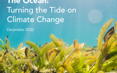 DEFRA back APPG for the Ocean key asks