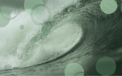 Blog: Gorton and Denton: Beginning of the Green Wave? By Paul Gaffney, Director at Tendo Consulting